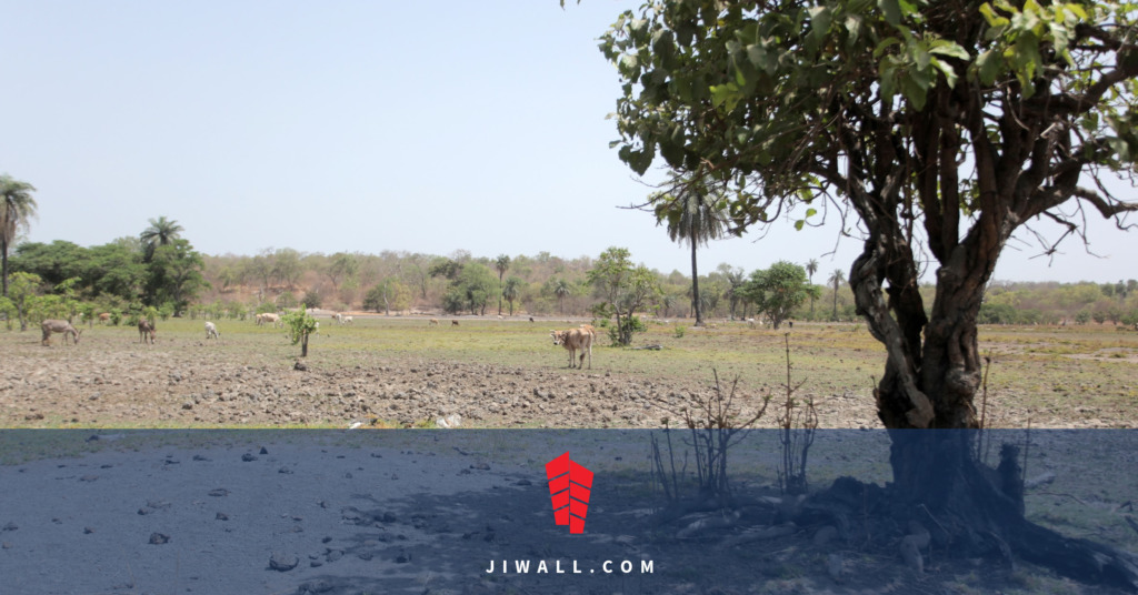 titre foncier, le bail et la délibération au Sénégal